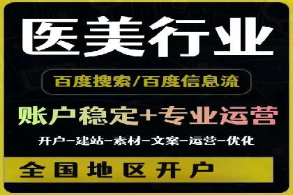 百度广告投放策略：成功案例解析