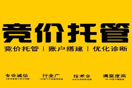 百度竞价赚钱的技巧与成功案例探讨